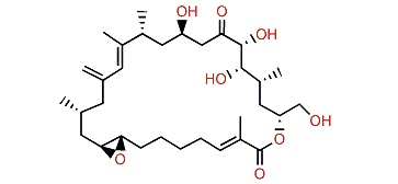 Amphidinolide H5